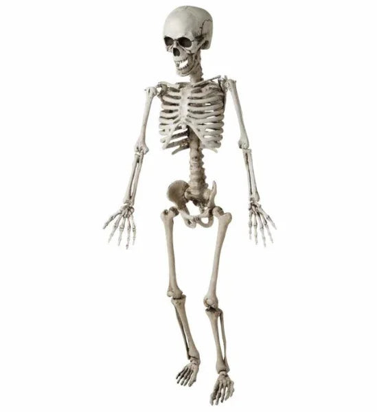 Esqueleto Articulado de 120 cm Halloween Widmann